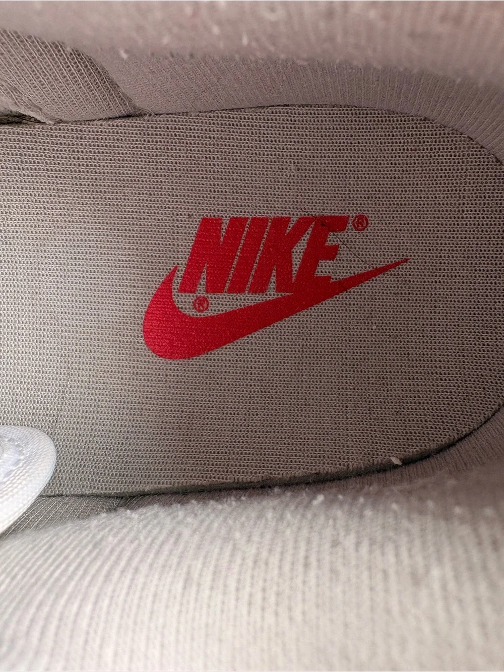 Nike Low Dunks in Iron Ore